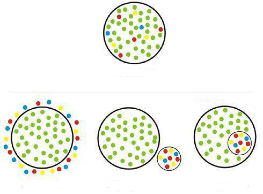 Didattica e Tecnologie per l’Inclusione 24-25